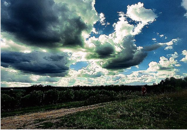 S’enraciner et trouver son chemin